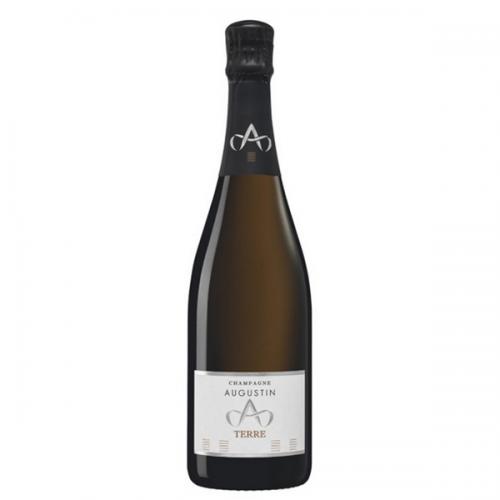 Augustin Cuvée CCXCI Terre parcel